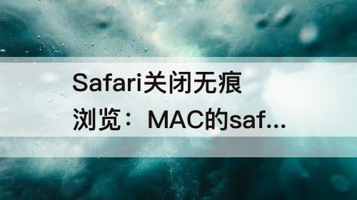 Safari关闭无痕浏览：MAC的safari关闭无痕浏览