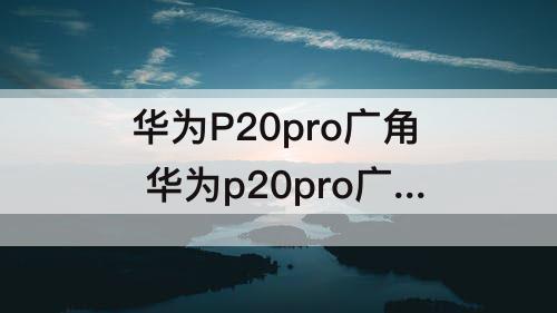 华为P20pro广角 华为p20pro广角效果