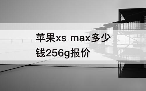 苹果xs max多少钱256g报价