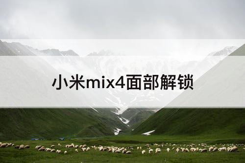 小米mix4面部解锁