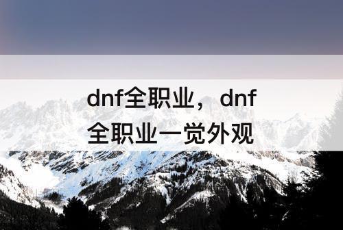 dnf全职业，dnf全职业一觉外观