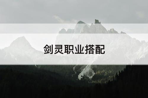 剑灵职业搭配