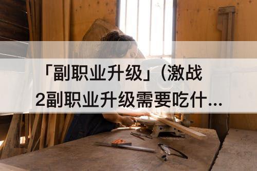 「副职业升级」(激战2副职业升级需要吃什么药)