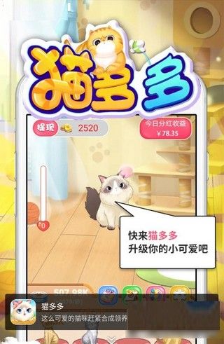 猫多多  v1.1.0图1