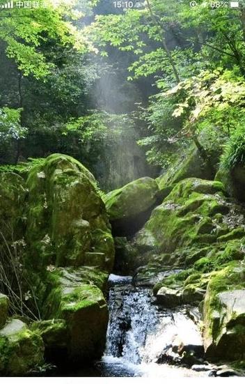 绿城生活  v4.16.3图3
