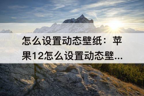 怎么设置动态壁纸：苹果12怎么设置动态壁纸