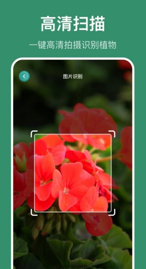 花仙识花草  v1.1图1