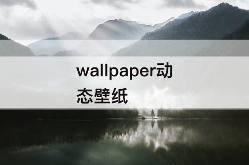 wallpaper动态壁纸