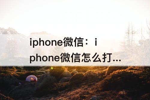 iphone微信：iphone微信怎么打开麦克风权限