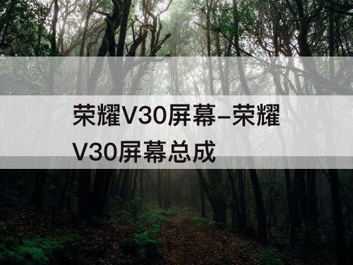 荣耀V30屏幕-荣耀V30屏幕总成