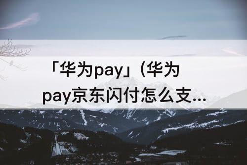 「华为pay」(华为pay京东闪付怎么支付)