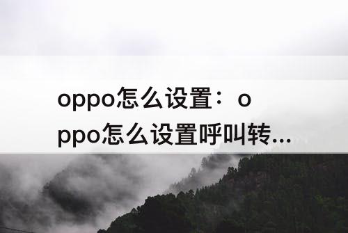 oppo怎么设置：oppo怎么设置呼叫转移功能在哪