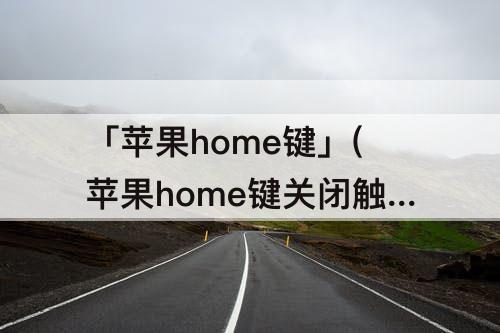 「苹果home键」(苹果home键关闭触感)