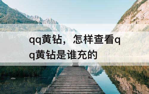 qq黄钻，怎样查看qq黄钻是谁充的