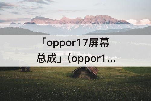 「oppor17屏幕总成」(oppor17屏幕总成的更换视频)