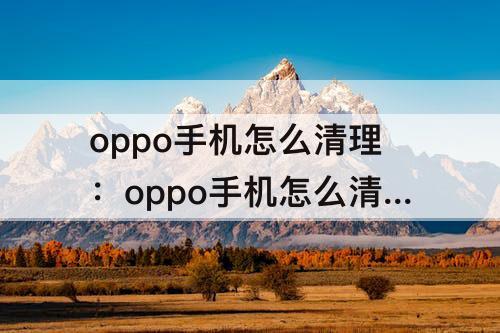 oppo手机怎么清理：oppo手机怎么清理数据