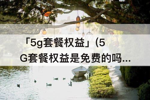 「5g套餐权益」(5G套餐权益是免费的吗)
