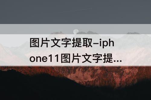 图片文字提取-iphone11图片文字提取