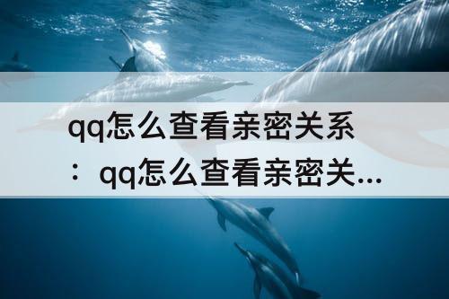 qq怎么查看亲密关系：qq怎么查看亲密关系天数