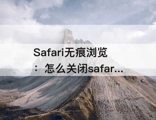 Safari无痕浏览：怎么关闭safari无痕浏览模式