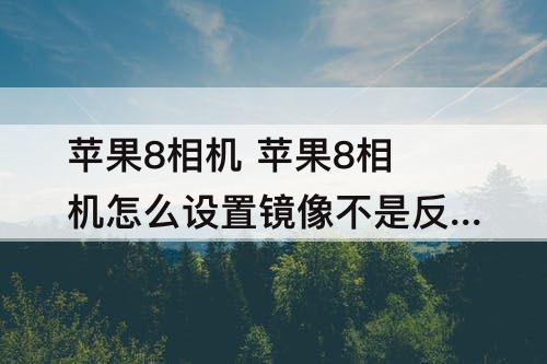 苹果8相机 苹果8相机怎么设置镜像不是反的
