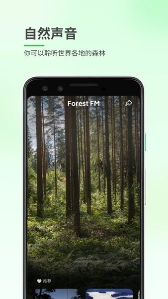 森林白噪音  v1.0.1图2