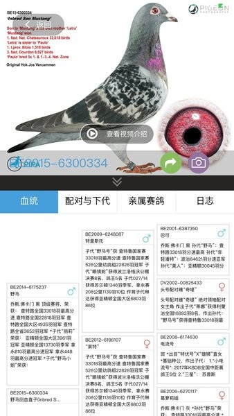 赛鸽云鸽舍管理系统  v9.0.5图2