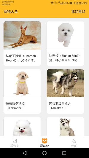 口袋乐看2023  v1.6.0图2