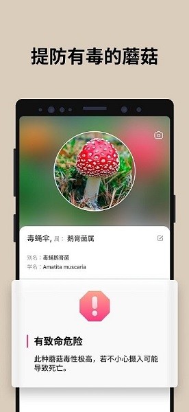 蘑菇识别扫一扫安卓版  v2.9.17图2