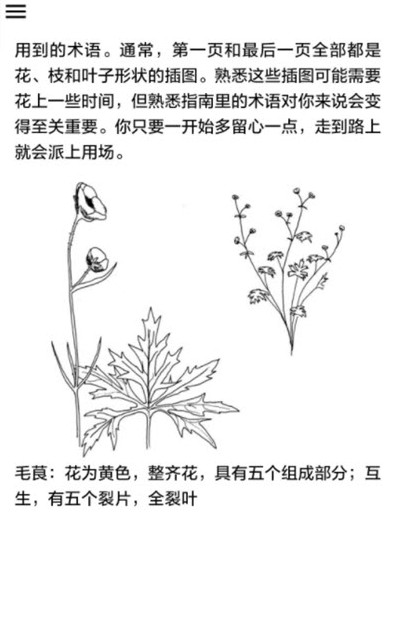 野外植物识别手册  v1.0.0图1