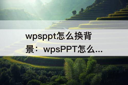 wpsppt怎么换背景：wpsPPT怎么换背景颜色