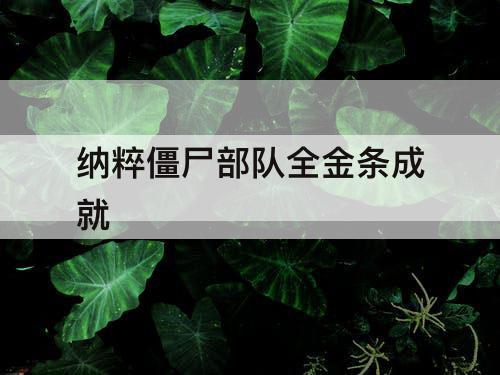 纳粹僵尸部队全金条成就
