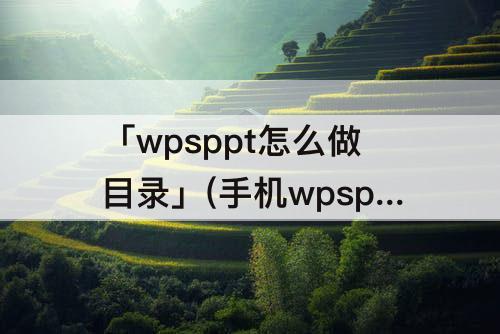 「wpsppt怎么做目录」(手机wpsppt怎么做目录)