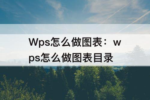 Wps怎么做图表：wps怎么做图表目录