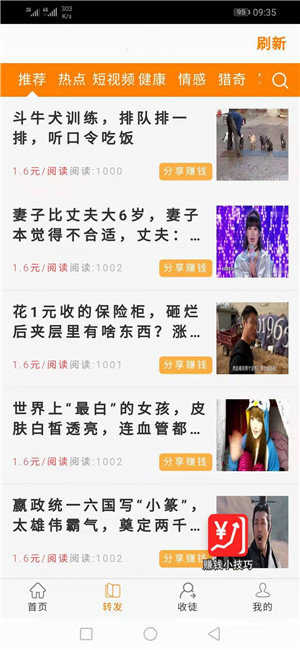 金竹网最新版