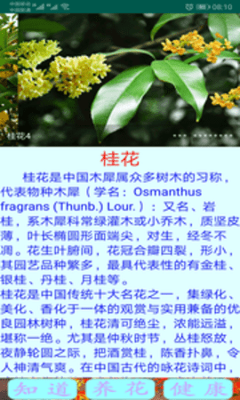 绿植花卉手机版  v9.0.1图3