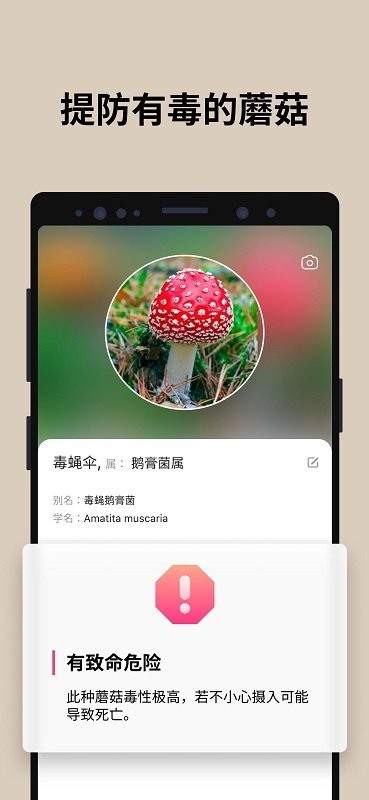 蘑菇识别手机版  v2.8.13图2