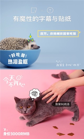 猫饼视频  v2.0.0图1