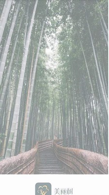 美丽树贷款最新版  v1.0图3