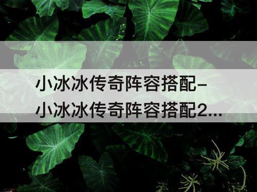 小冰冰传奇阵容搭配-小冰冰传奇阵容搭配2022平民