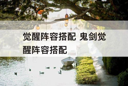 觉醒阵容搭配 鬼剑觉醒阵容搭配