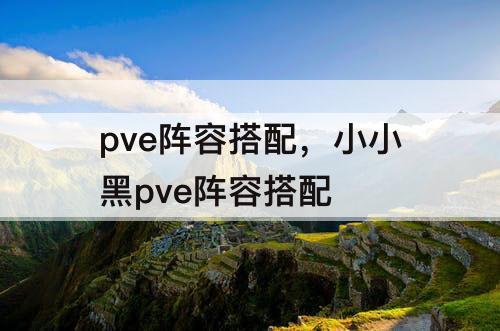 pve阵容搭配，小小黑pve阵容搭配