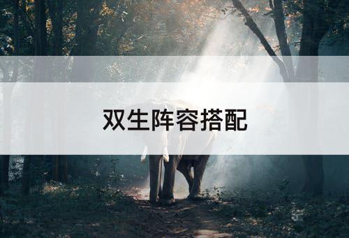 双生阵容搭配