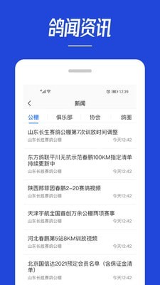 青鸽网app