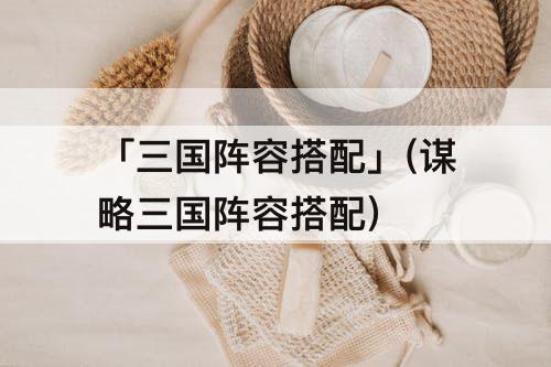 「三国阵容搭配」(谋略三国阵容搭配)