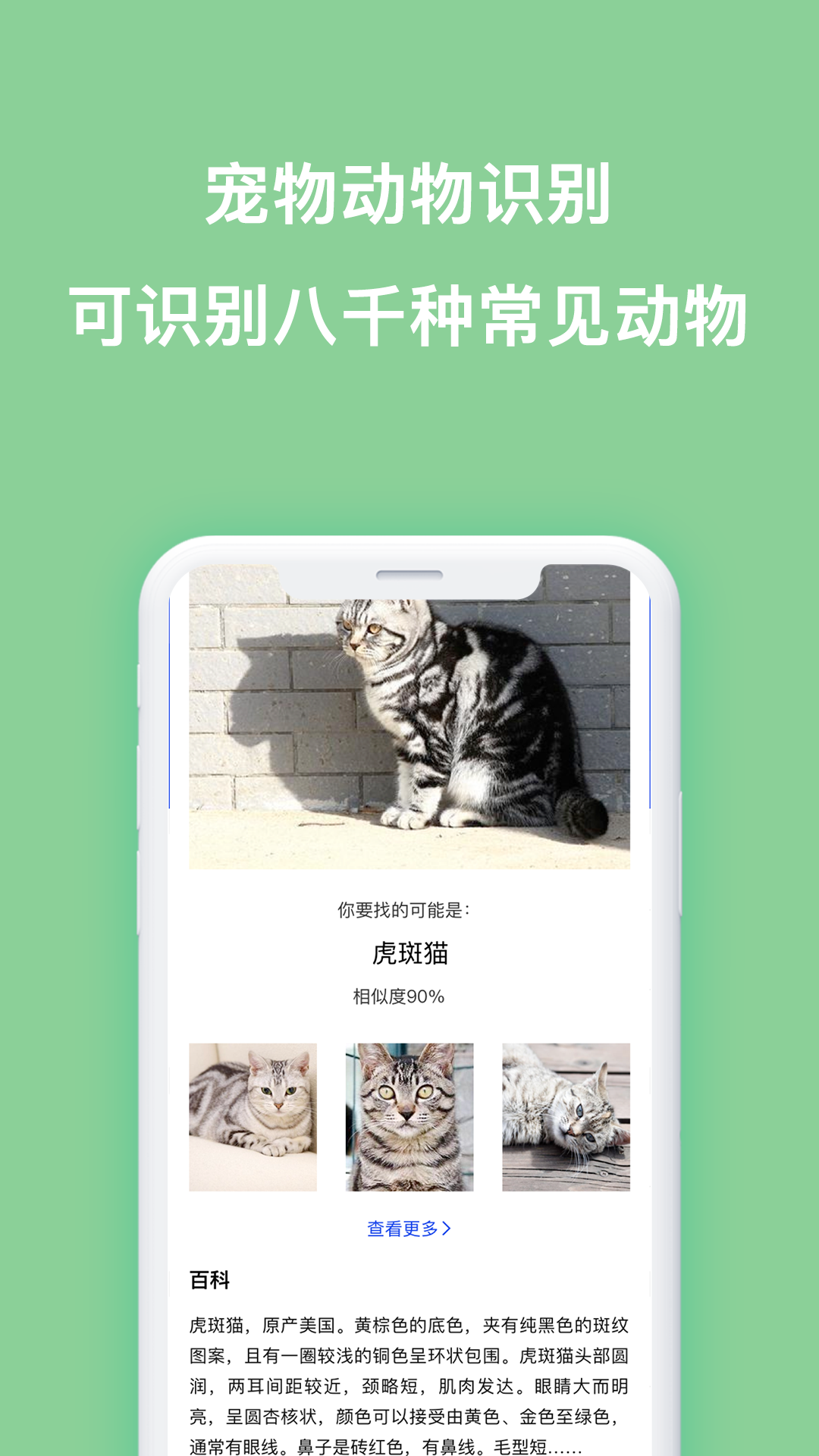 扫描识图  v1.0.3图3