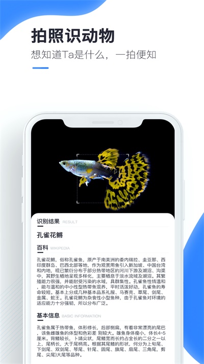 百科扫描王免费版下载官网安卓手机  v1.0.0图1