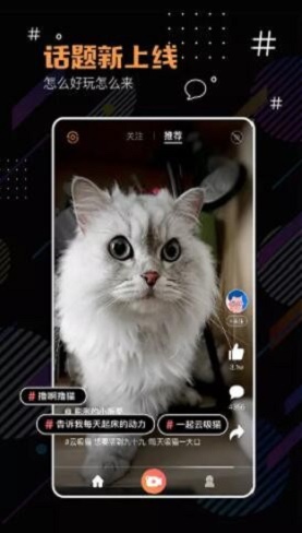 河豚小视频app  v1.0.0图3