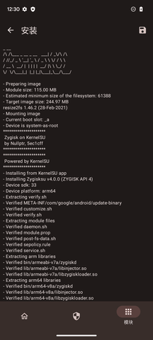 KernelSU安装青龙模块  v0.3.6图2