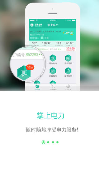 网上国网2.1.4  v2.0.5图2